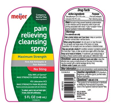 Meijer Maximum Strength Pain Relieving Cleansing Spray (72205mjr Diline.jpg)